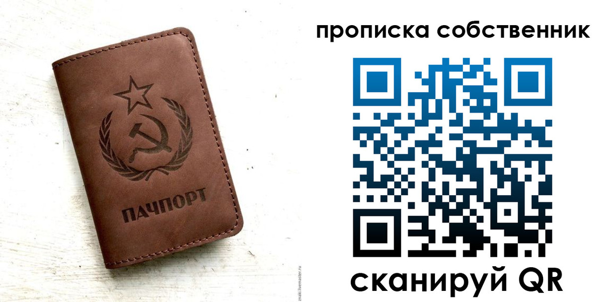 прописка для школы в Кудрово